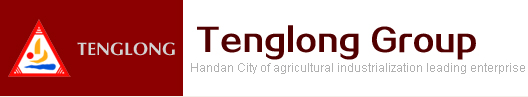 Handan Tenglong Cotton Textile Co.,Ltd