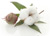 Handan Tenglong Cotton Textile Co.,Ltd