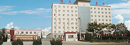 Handan Tenglong Cotton Textile Co.,Ltd